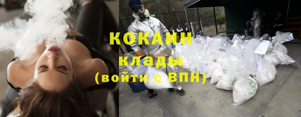 ПСИЛОЦИБИНОВЫЕ ГРИБЫ Ладушкин
