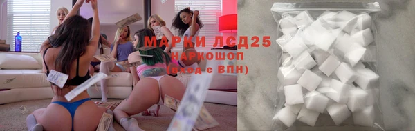 мяу мяу мука Лабытнанги