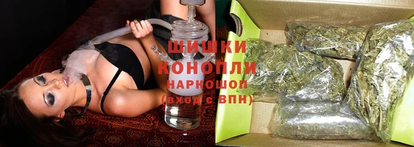 ПСИЛОЦИБИНОВЫЕ ГРИБЫ Ладушкин