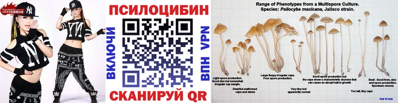 Галлюциногенные грибы Cubensis  Купить  Лукоянов 